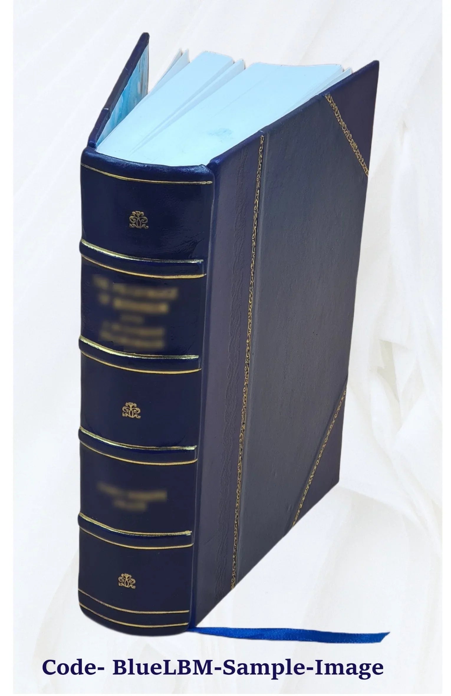 Stylish History of Dubuque County, Iowa; being a general survey of Dubuque County history, including a history of the city of Dubuque and special account of districts throughout the county, from the earliest
