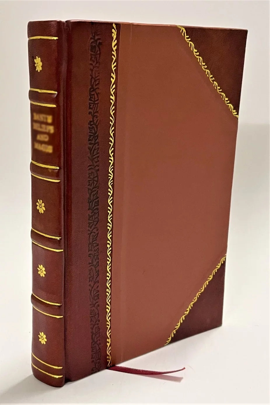 Stylish Elogio di Maria Bianchi nata Brunelli / Eugenio Rumori (1857) [Leather Bound]