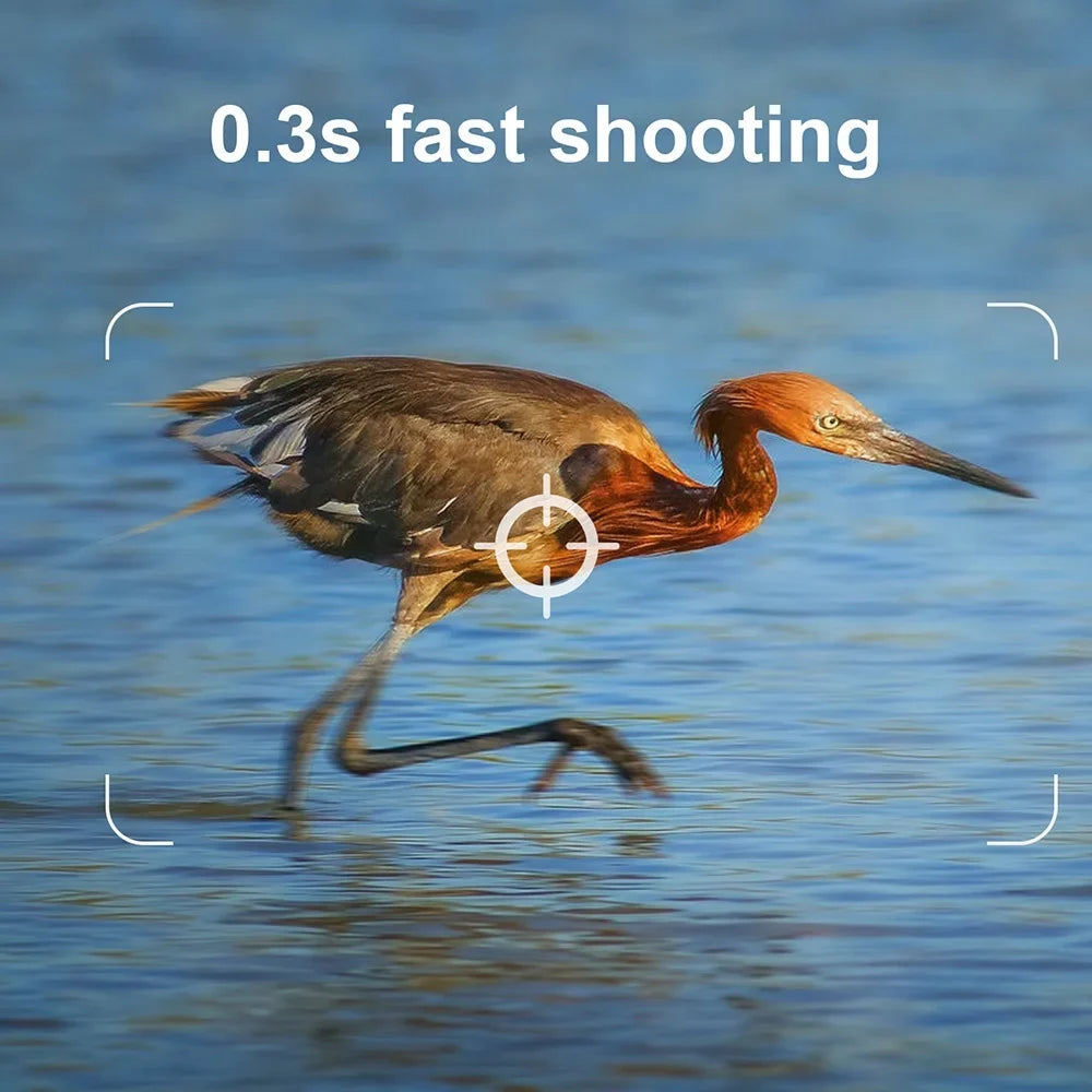 Stylish Pristin Camera,Weatherproof 0.2S Speed IP65 Weatherproof 0.2S Months Standby IP65 Camera Motion Small Camera Portable Animal/Plant Outdoor Use 6 Vision Camera Motion Speed Camera Portable