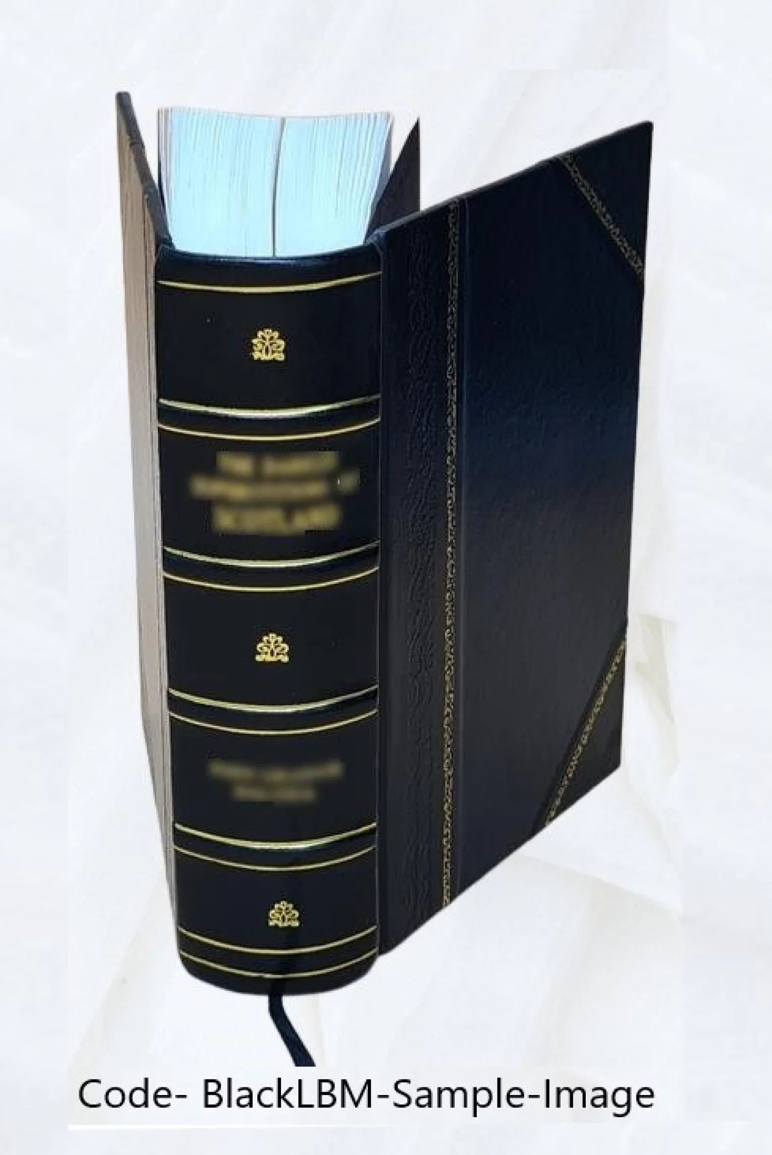 History of Newton, Massachusetts : town and city, from its earliest settlement to the present time, 1630-1880 1880 [Leather Bound] - Exclusive Design