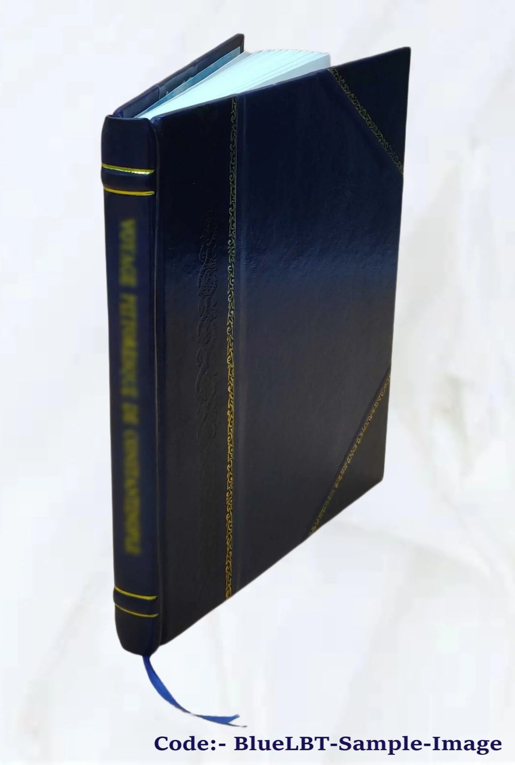 Attik?s kai t?n en aut? archai?n mn?mei?n vracheia archaiologik? perigraph? ... 1876 [Leather Bound] - Exclusive Design