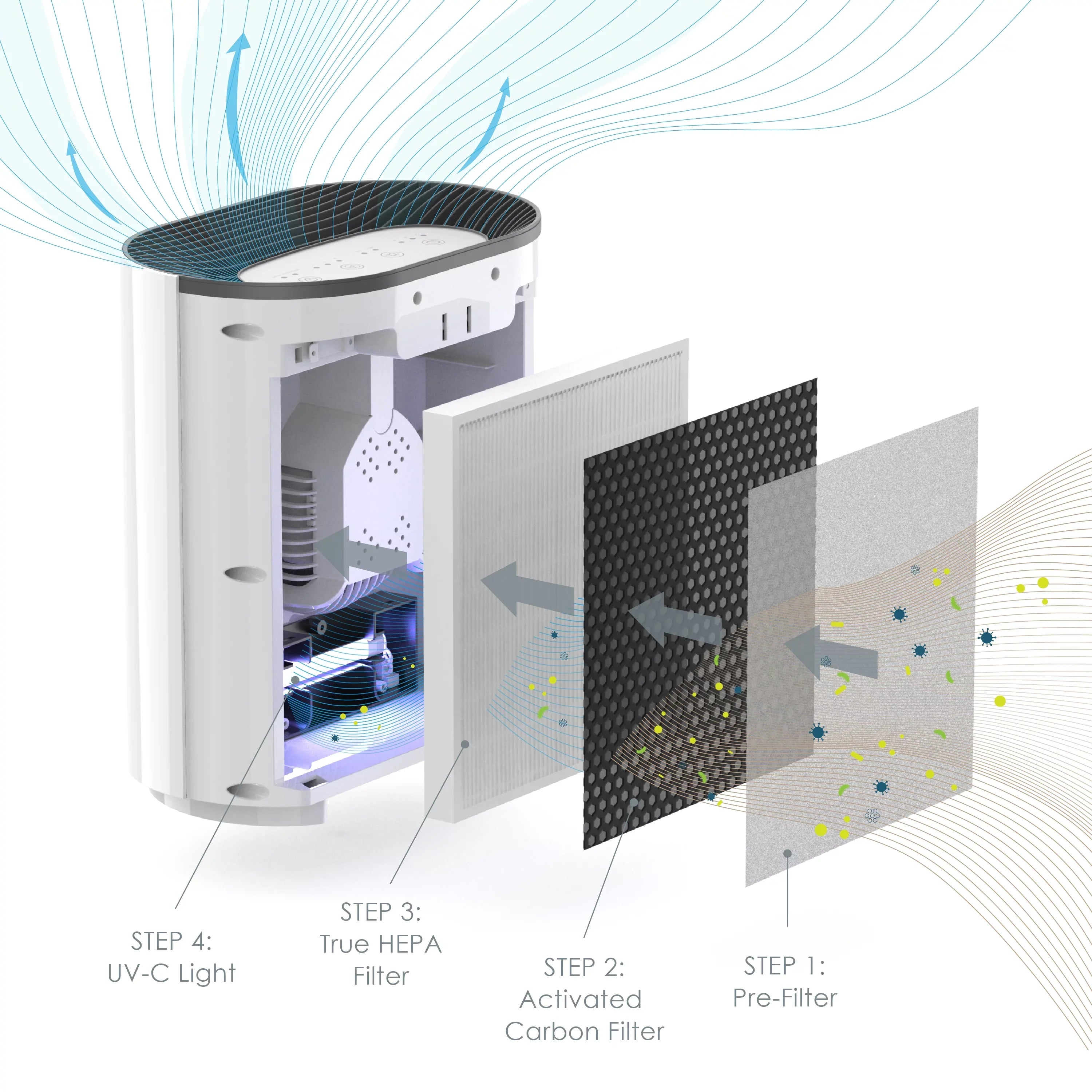 Purifier Equipment