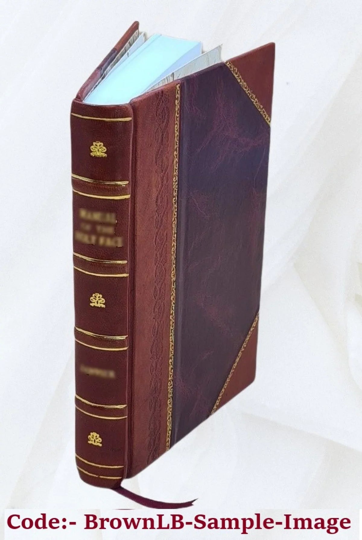 The last of the old squires; a sketch, by Cedric Oldacre [pseud. 1861 [Leather Bound] - Exclusive Design