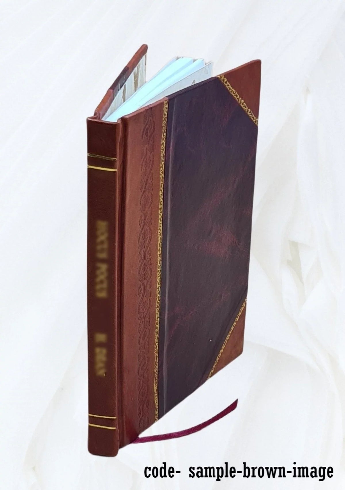 Attik?s kai t?n en aut? archai?n mn?mei?n vracheia archaiologik? perigraph? ... 1876 [Leather Bound] - Exclusive Design